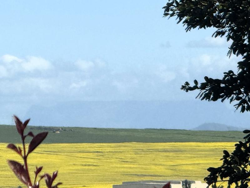 4 Bedroom Property for Sale in Bergzicht Western Cape